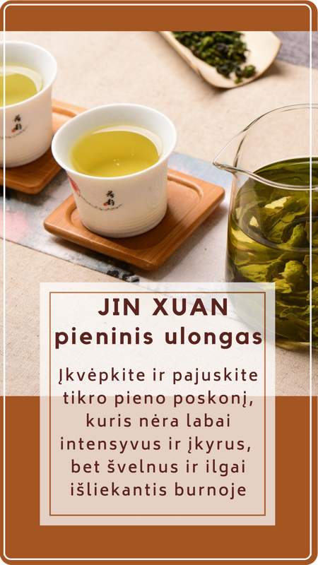 JIN XUAN pieninis ulongas