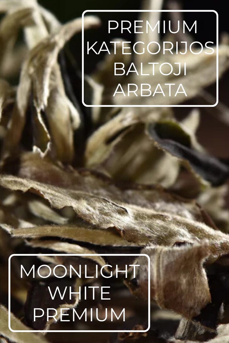 MOONLIGHT WHITE PREMIUM 2025
