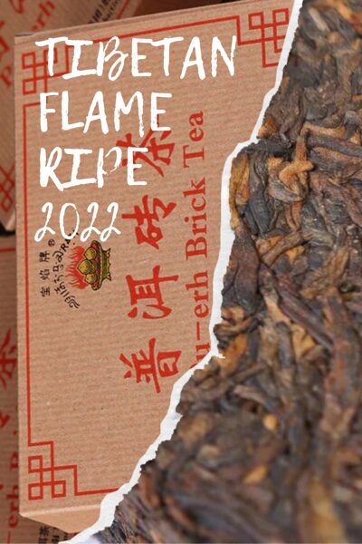 TIBETAN FLAME RIPE 2022