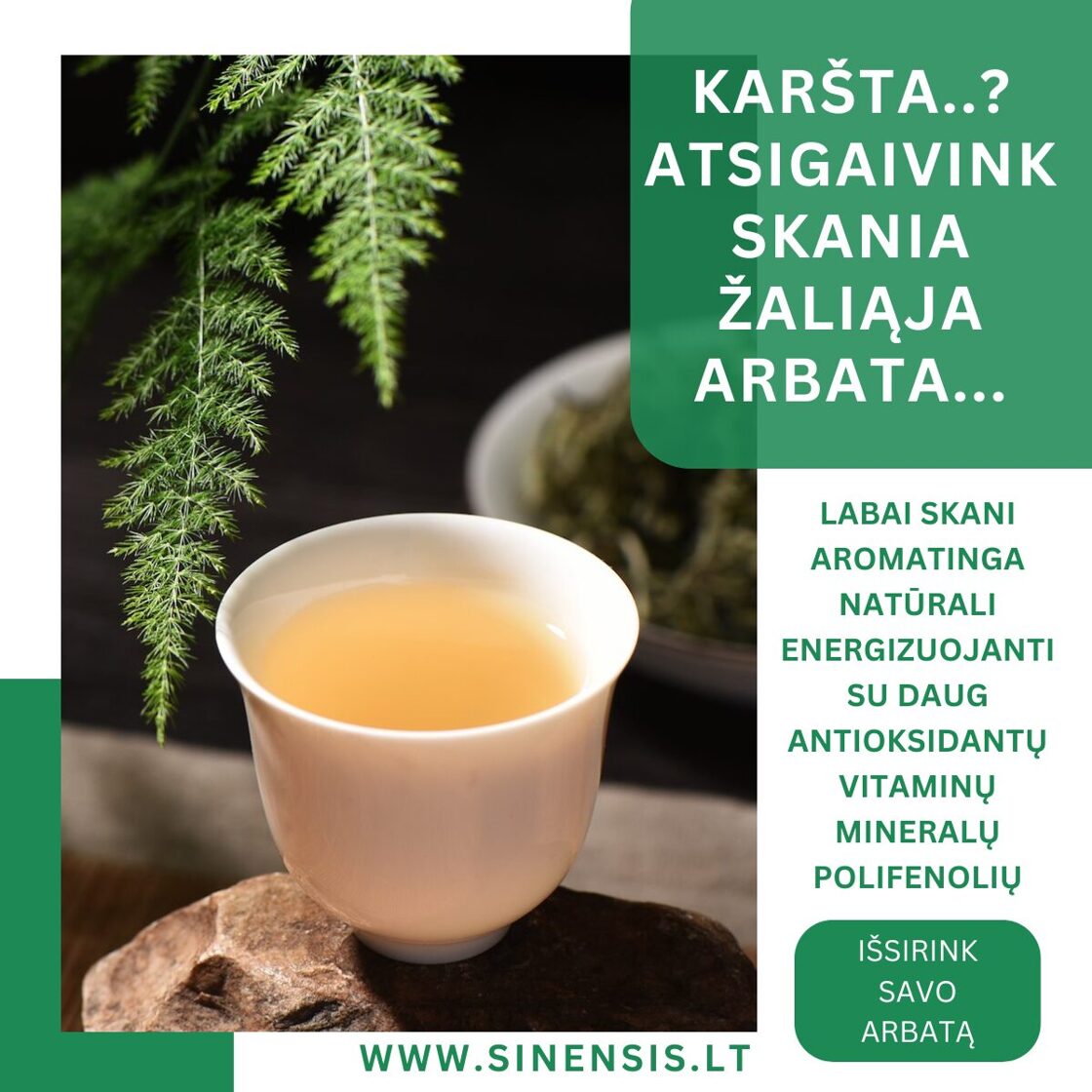 Šviežia žalioji arbata arbatos nauda